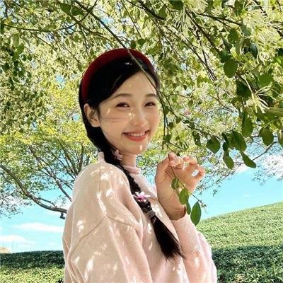 主妇侦探社